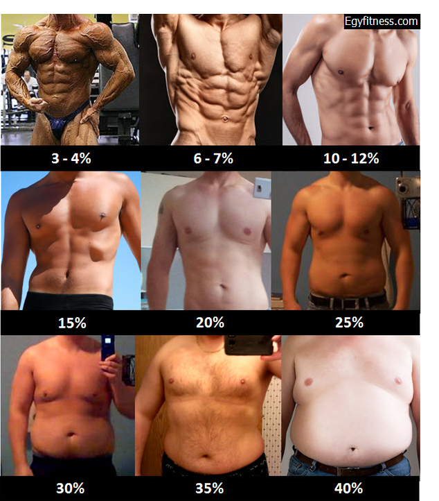 body-fat-percentage-men-women.png
