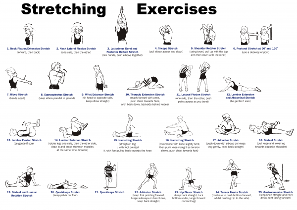 whole-body-stretching-routine-600x424.png